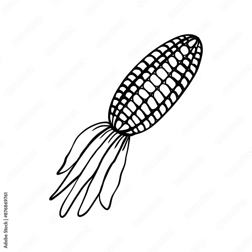 Corn Corn