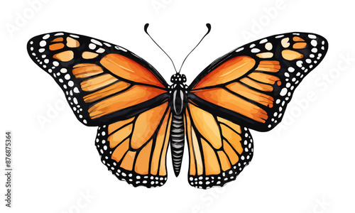 Watercolor vector monarch butterfly isolated on white background