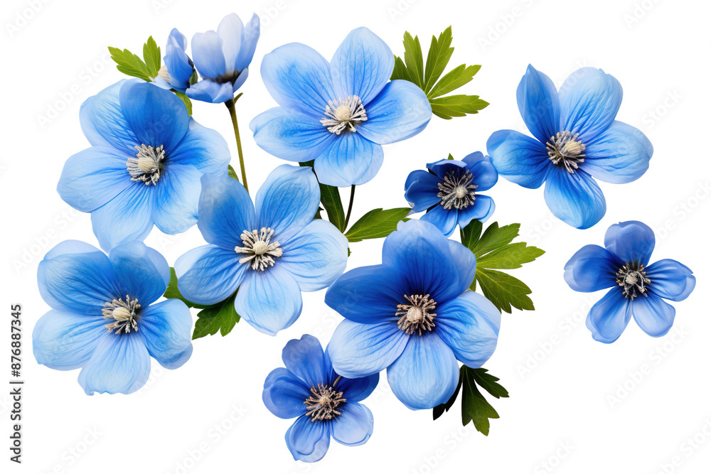 A Bouquet of Delicate Blue Flowers Against a Pure White Background. on a White or Clear Surface PNG Transparent Background. A Bouquet of Delicate Blue Flowers Against a Pure White Background. on a White or Clear Surface PNG Transparent Background.