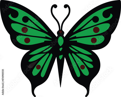 A poisonous Colorful butterfly