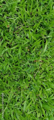 Green artificial grass natural background