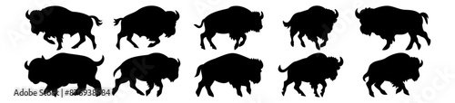 Buffalo silhouettes set, pack of vector silhouette design, isolated background