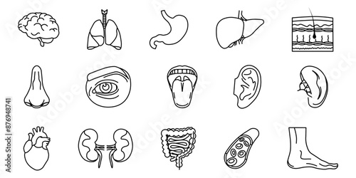 Human organs set. Human body anatomy organ icons. Line icons.