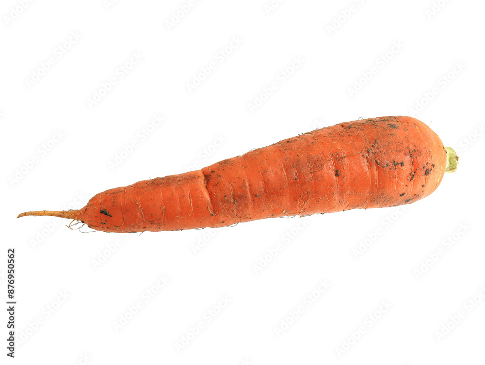 Fresh vegetables with carrots on a white background Fresh vegetables with carrots on a white background