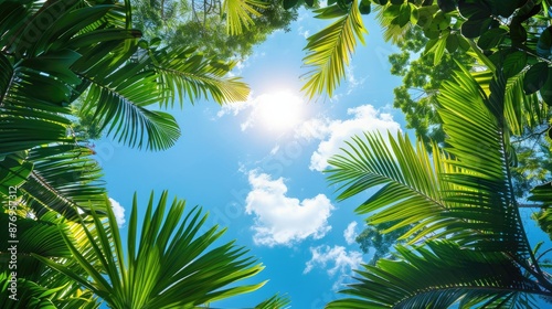 A sunny tropical background with palm trees and a blue sky. A view from below © masyastadnikova