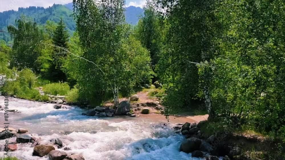 A beautiful view of the river flowing through the forest A beautiful view of the river flowing through the forest