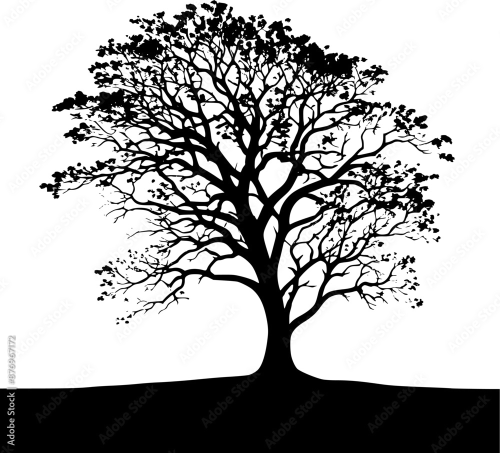 EPS Ash Deciduous Tree Silhouette Vector Art EPS Ash Deciduous Tree Silhouette Vector Art