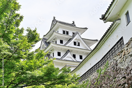 郡上八幡城の風景 岐阜県郡上市