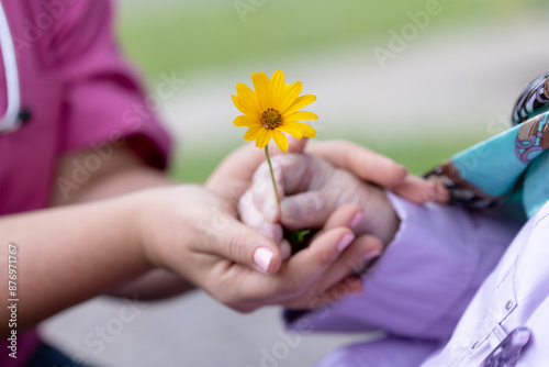 Fototapeta Naklejka Na Ścianę i Meble -  young carer holds hands of old woman, 93 years old, with a yellow flower