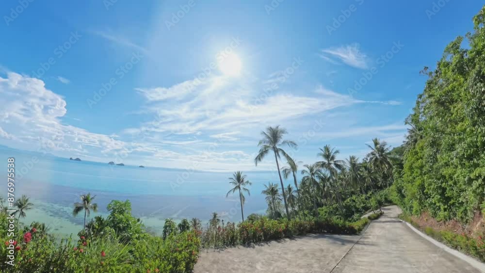 Palm trees and road in Koh Samui, Thailand Palm trees and road in Koh Samui, Thailand