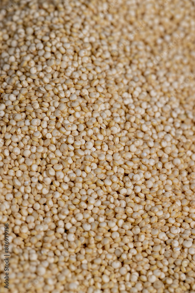 a large amount of quinoa groats during porridge cooking a large amount of quinoa groats during porridge cooking