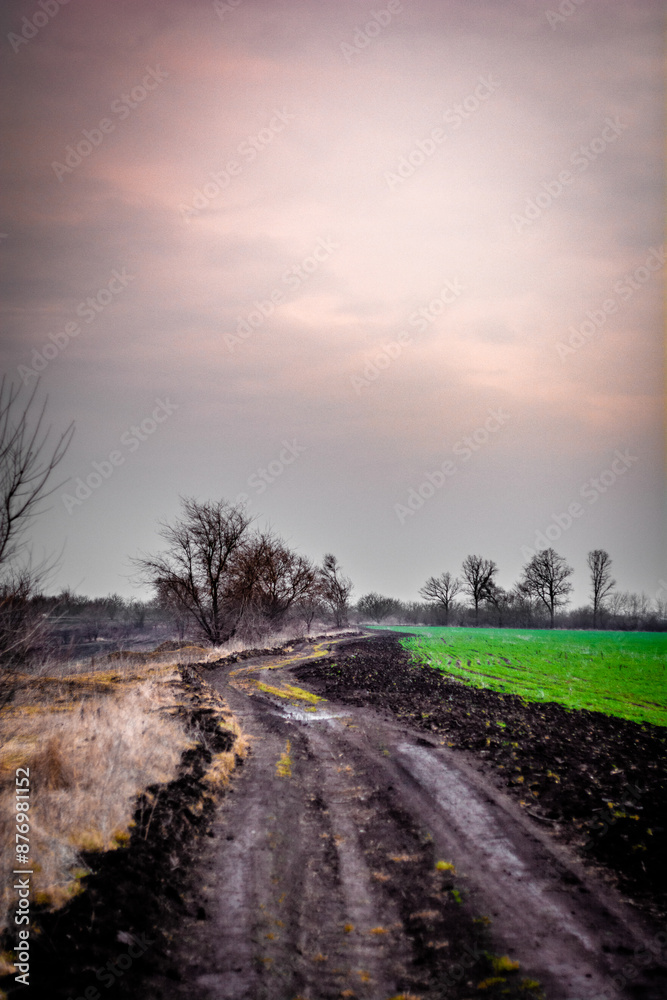 rural dirt road, on either side of which there is a green field and a field with dry yellow grass, against the backdrop of black silhouettes of bare trees and a warm sunset sky with clouds
