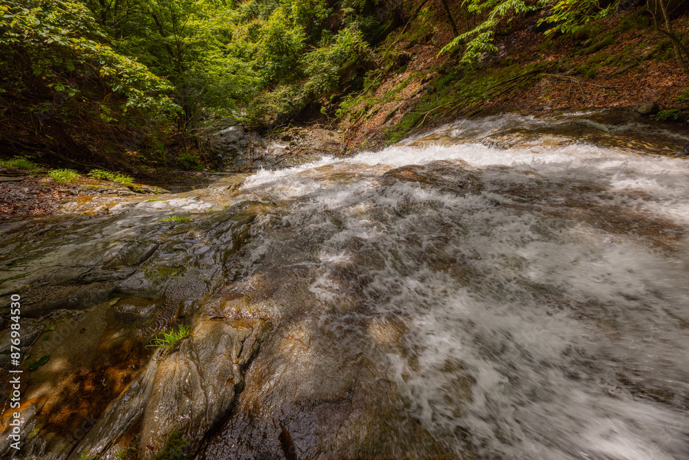 Obraz premium 急こう配の沢