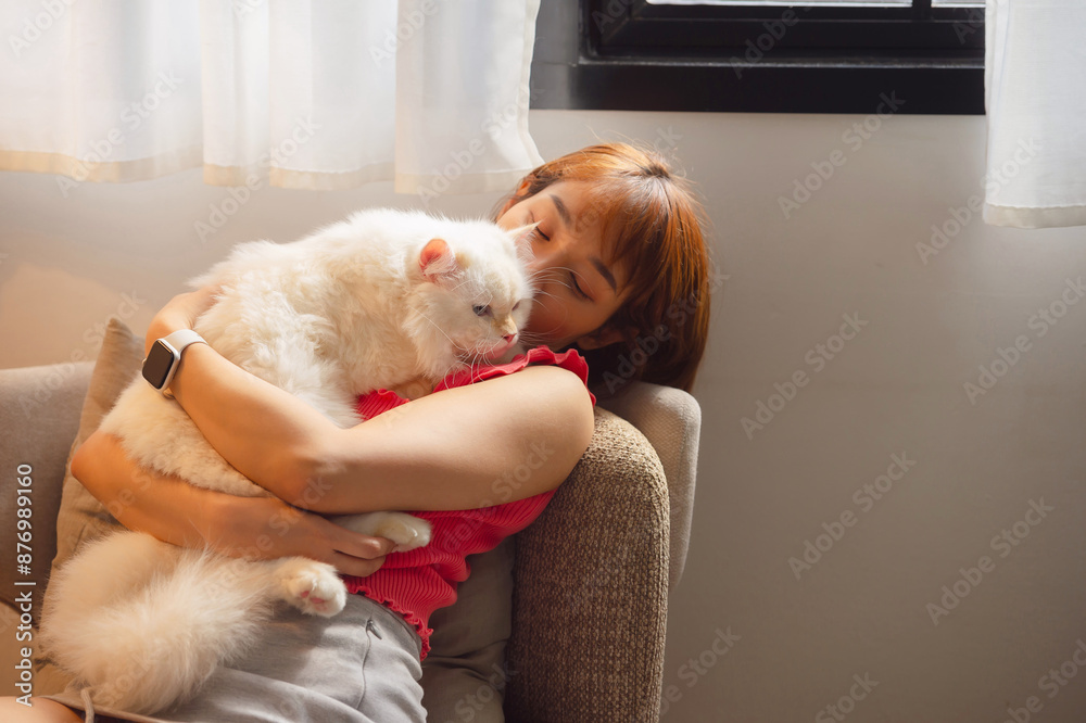 girl and Persian cat girl and Persian cat