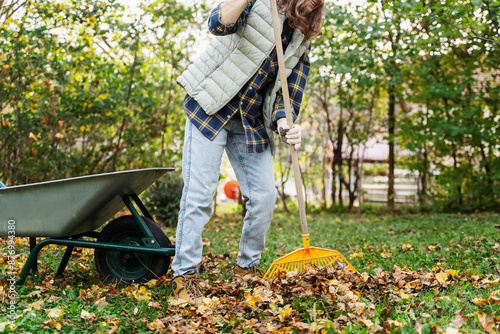 Young happy woman collecting autumn leaves in the backyard of a country house using a rake and cart