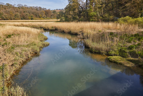 The River Tamar at Cotehele Quay, the border between Devon and Cornwall, near Gunnislake, Cornwall, England, United Kingdom, Europe photo