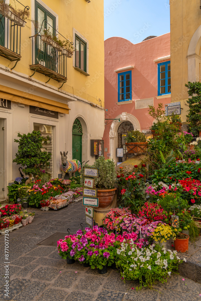 View of flower display outside florists in street, Capri Town, Isle of Capri, Campania, Italy, Mediterranean, Europe View of flower display outside florists in street, Capri Town, Isle of Capri, Campania, Italy, Mediterranean, Europe