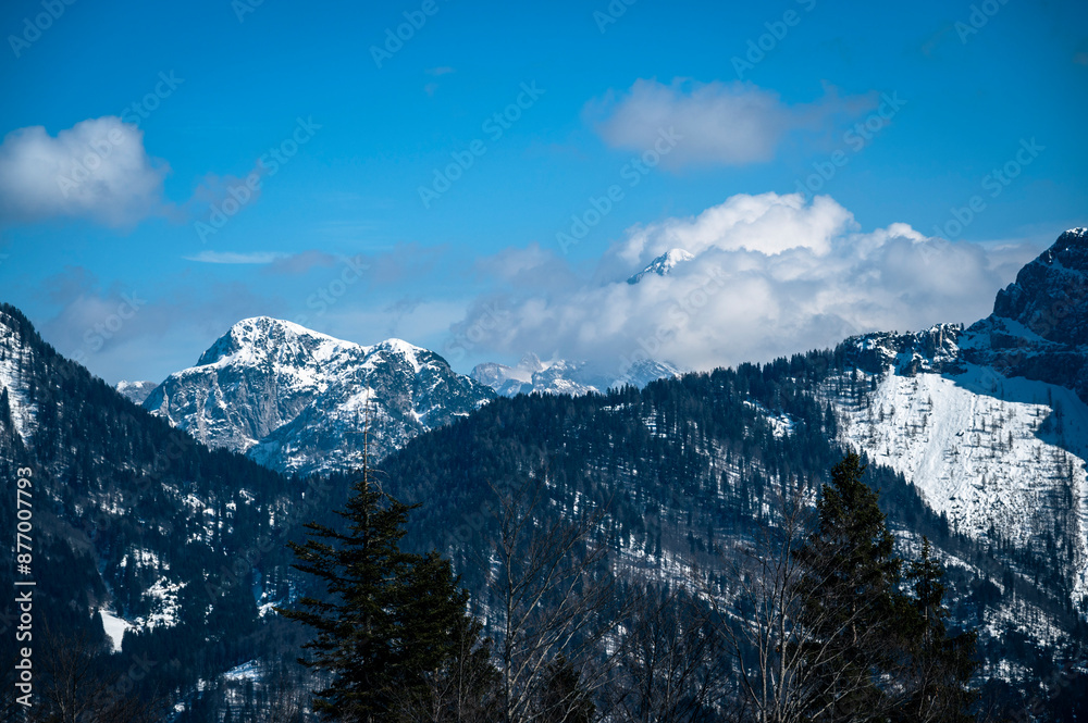 Valbruna and Val Saisera at the end of winter. Between the snow and the first flowers of the new season Valbruna and Val Saisera at the end of winter. Between the snow and the first flowers of the new season