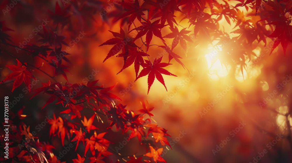 The day of the autumn equinox in Japan. symbolizing the balance of the day on the day of the autumnal equinox The day of the autumn equinox in Japan. symbolizing the balance of the day on the day of the autumnal equinox