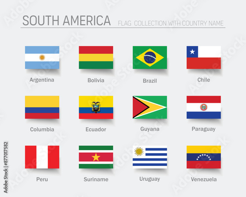 South America flag set. Hight detailed. Vector Illustration