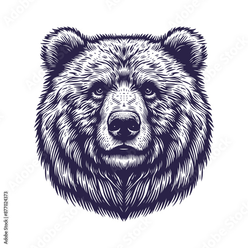 bear vector, bear silhouette