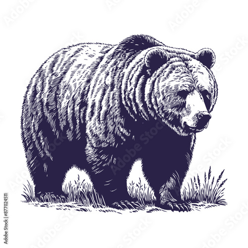 bear vector, bear silhouette