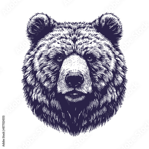 bear vector, bear silhouette