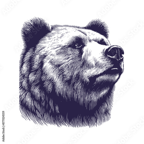 bear vector, bear silhouette