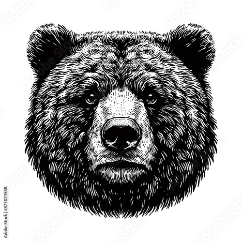 bear vector, bear silhouette
