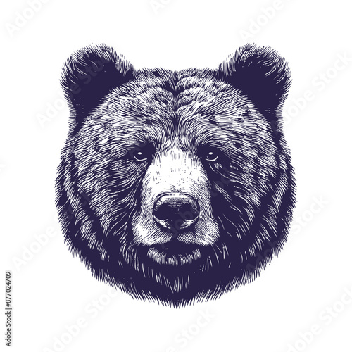 bear vector, bear silhouette
