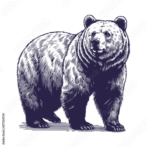 bear vector, bear silhouette