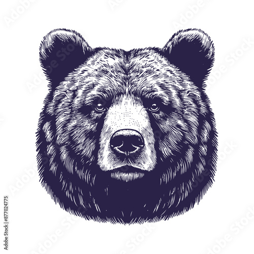bear vector, bear silhouette