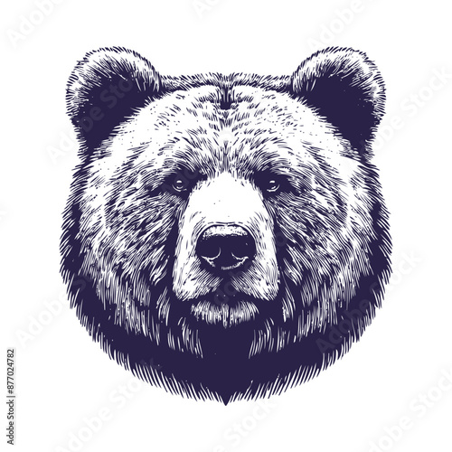 bear vector, bear silhouette