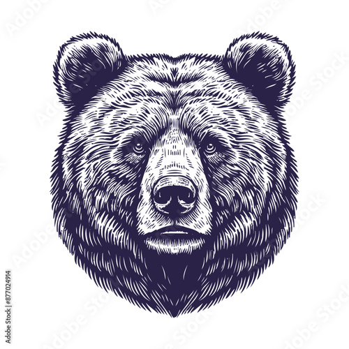 bear vector, bear silhouette