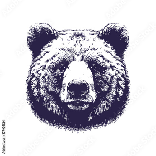 bear vector, bear silhouette