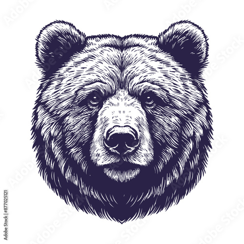 bear vector, bear silhouette