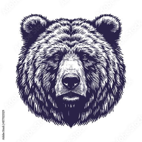 bear vector, bear silhouette