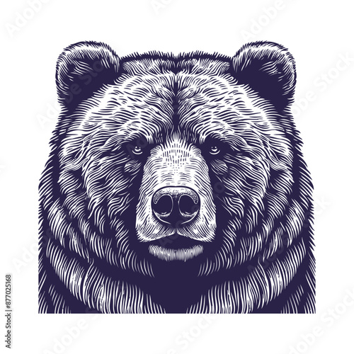 bear vector, bear silhouette