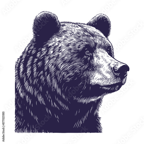 bear vector, bear silhouette