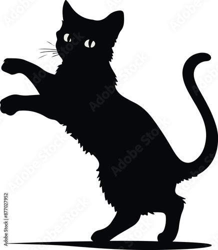 Mysterious, playful, and irresistibly charming — cats steal hearts with every purr and paw step. From cuddly companions to graceful hunters, they rule our homes with elegance and sass.