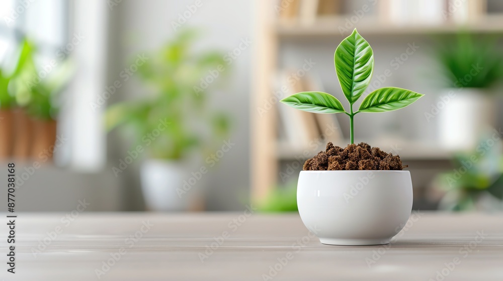 Comprehensive layout for chemical initiatives optimizing mechanisms for waste-to-energy conversion, chemical initiatives mechanisms, renewable energy technology Comprehensive layout for chemical initiatives optimizing mechanisms for waste-to-energy conversion, chemical initiatives mechanisms, renewable energy technology