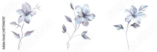 Set of An artistic drawing of a flower featuring intricate swirls and leaves isolated on transparent background