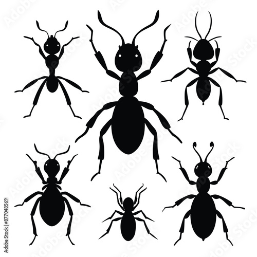 ant silhouettes set vector silhouette images , isolate white background