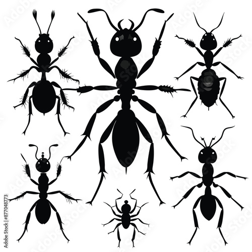 ant silhouettes set vector silhouette images , isolate white background