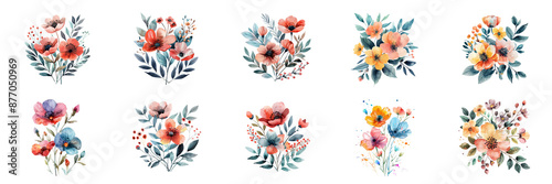 Set of An overhead view of a vector watercolor floral pattern isolated on transparent background