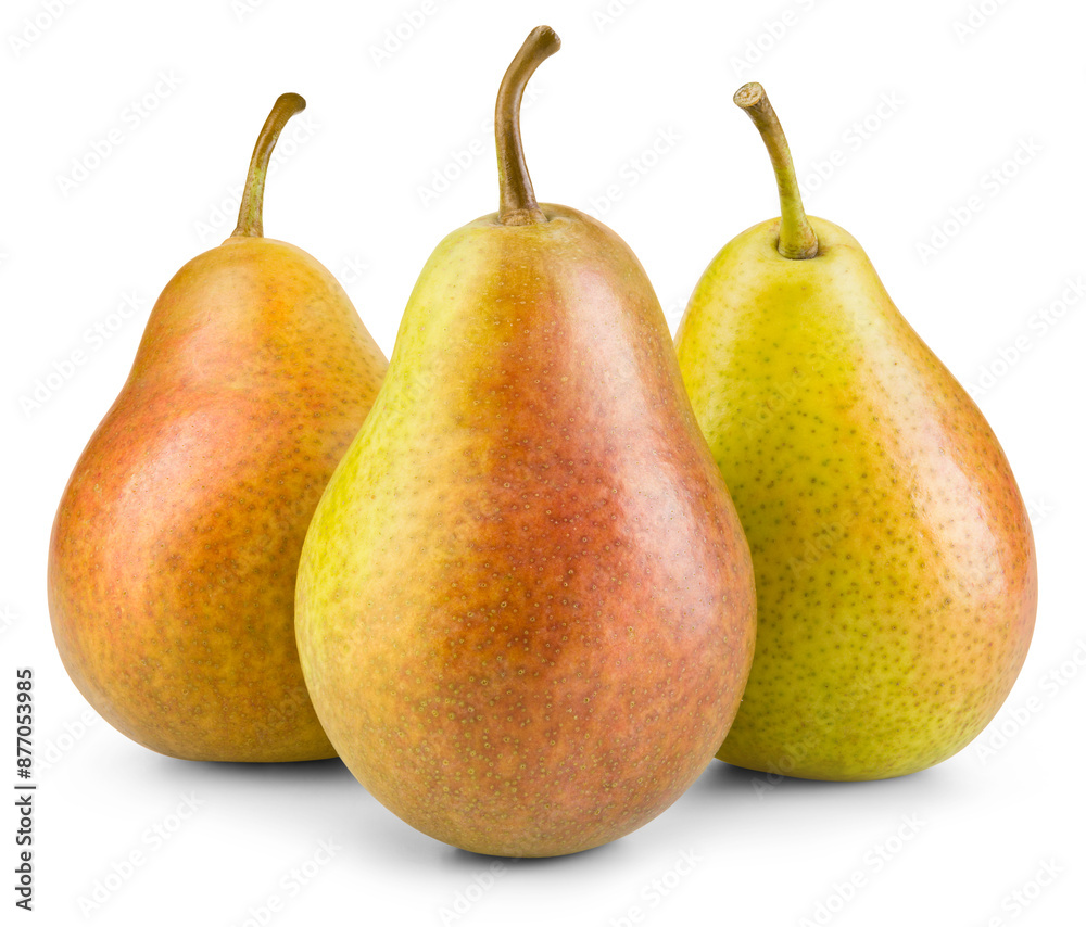 Pear isolated png. Three yellow pears with red side on transparent background. PNG format. Pear with no background. Full depth of field. Pear isolated png. Three yellow pears with red side on transparent background. PNG format. Pear with no background. Full depth of field.