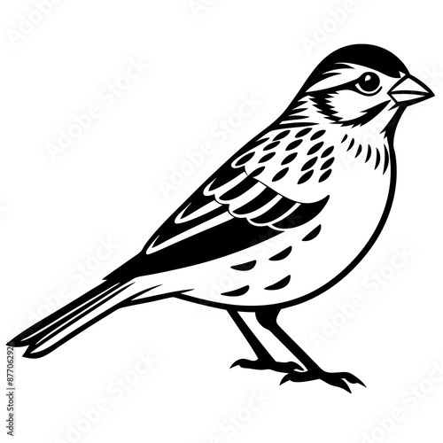 Stunning Grasshopper Sparrow Vector Illustration: