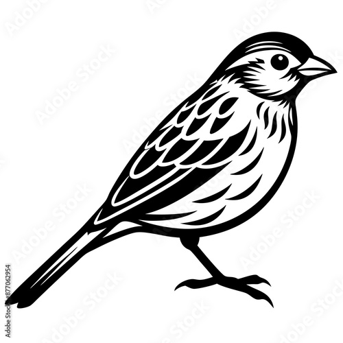 Stunning Grasshopper Sparrow Vector Illustration: