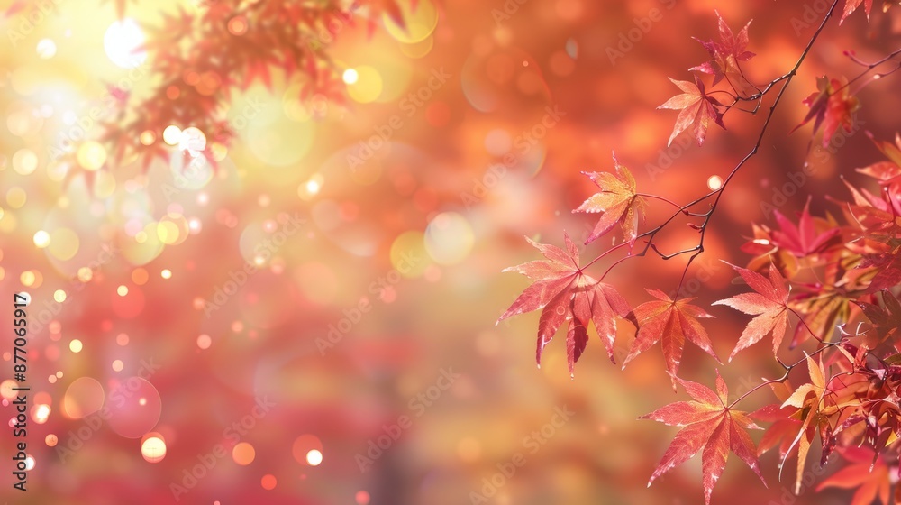 Vibrant maple leaves web banner autumn season bokeh effect year end event realistic photo Vibrant maple leaves web banner autumn season bokeh effect year end event realistic photo
