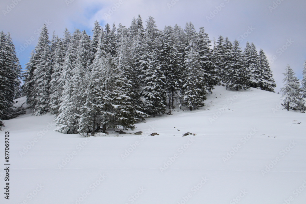 Schneelandschaft Schneelandschaft